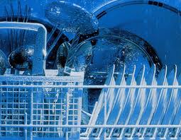 palmetto ellenton parrish dishwasher repair